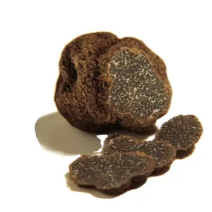 Detan Tabung Jamur Truffle Hitam Segar Indikator dengan Jamur Dapat Dimakan Kualitas Tinggi