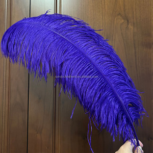 28-30 Inch 70-75 Cm Lớn Đà Điểu Lông Nam Phi Đà Điểu Lông Cho Trang Trí Đám Cưới Tổ Chức Sự Kiện Đảng Carnivals - Product Image 5