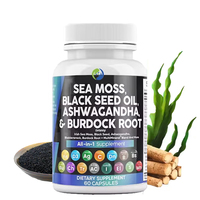 Capsules à base de plantes SPL OEM pour le soutien immunitaire des adultes : Huile de Nigelle, Ashwagandha, Shilajit, Mousse de Mer, Gingembre, Curcuma, Fucus vésiculeux