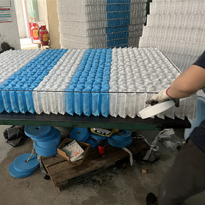 2026 mùa xuân vua nữ hoàng đôi kích thước duy nhất giá bán buôn nệm trong một hộp - Product Image 5