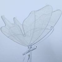Nouvelle Arrivée 60cm 80cm LED Ailes de Papillon Lumineuses pour Décoration de Mariage, Faible MOQ, Vente en Gros Usine, Livraison Rapide