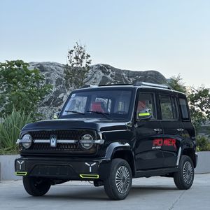 Mini SUV Eléctrico de Nueva Energía para Adultos, Asientos de Cuero Oscuro Automáticos, Volante a la Izquierda, Cámara Trasera, Portaequipajes de Aleación de Aluminio, Tracción Trasera - Product Image 4