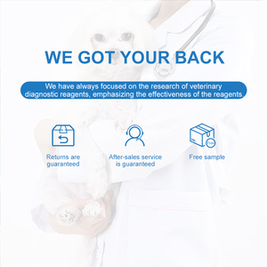 Veterinaria Prueba Rapida Parvo Kit De Parvovirus <span class=keywords><strong>Canino</strong></span> Ag Prueba Rapidas CPV Ag Rapida De Antigeno - Product Image 3