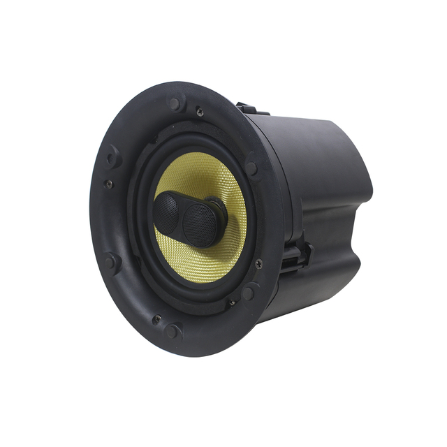 T 2-way WiFi 24VDC Power Supply Blue-tooth Ceiling Speakers Radio Blue Tooth Ceiling Speaker
