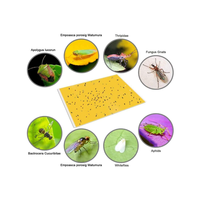 Plaques collantes pour insectes volants en pot d'intérieur, jaunes, double face, super collantes, imperméables, durables, propres et inodores