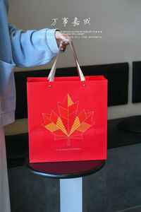 Ginseng <span class=keywords><strong>naturel</strong></span> <span class=keywords><strong>de</strong></span> haute qualité sans additifs, ginseng américain, ginseng canadien, ginseng occidental, cadeau pour les fêtes du printemps - Product Image 4