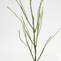 Nouvelle Arrivée Plante Artificielle Verte Guirlande de Lézards Grimpants - 150cm avec Fil, Mousse et Adhésif pour Décoration Intérieure/Extérieure Réutilisable Noël