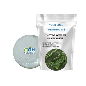 GOH Supply High Quality Food Grade Probiotics Lactobacillus Plantarum Powder