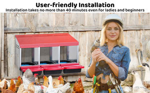 Driegaats <span class=keywords><strong>Plastic</strong></span> En Metalen Kippenhok Eierdoos Met Nestkast Voor Legkippen - Product Image 4