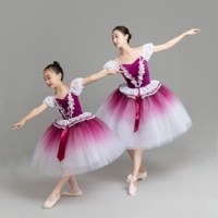 Robe de danse à manches bouffantes en velours violet, jupe dégradée, tenue de danse brodée, décalcomanie brodée, costume de princesse pour soirée lyrique