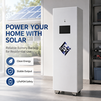 Armoire de stockage d'énergie mobile LiFePO4 51,2V 420Ah avec protection BMS et CAN RS485 RS232