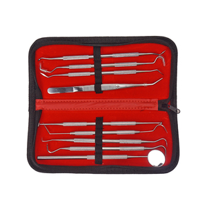 9 Pack Stainless Steel Dental Hygiene Kit Dental Picks <strong>Teeth</strong> <strong>Cleaning</strong> <strong>Tools</strong> - Product Image 3