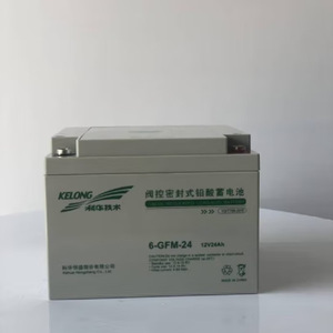 KELONG Valve Regulated Lead Acid <b>Battery</b> 12V 24Ah <b>UPS</b> Backup Power Supply - Product Image 1