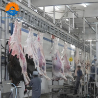 Ligne complète d'équipement d'abattage halal pour bovins, solution tout-en-un, machines de transformation de la viande bovine pour abattoir, haute efficacité