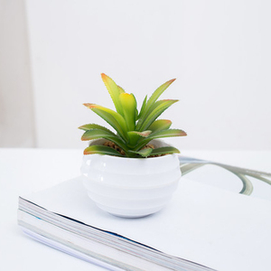 mayor <span class=keywords><strong>de</strong></span> <span class=keywords><strong>interior</strong></span> al aire libre casa jardín decoración 3D maceta <span class=keywords><strong>de</strong></span> suculentas plantas artificiales <span class=keywords><strong>de</strong></span> melamina para - Product Image 5