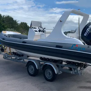 Liya-Barco de costilla con motor, bote colorido de 6,6 metros