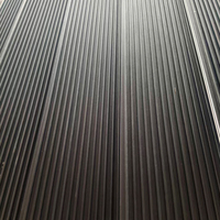 Revêtement mural en WPC (bois-plastique) imperméable européen, panneau composite moderne, fond noir pour salle de sport