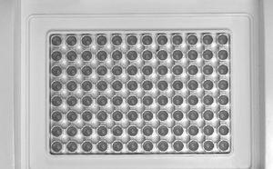 Instrument de PCR de laboratoire à gradient de température XX-96E : Fiabilité et Qualité - Product Image 4
