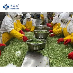 Sinocharm เครื่องเทศปรุงง่าย,มีรสชาติสดใหม่ชิ้นเกล็ด IQF หัวหอมสีเขียวแช่แข็งพร้อม HACCP