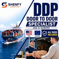 Transporte Internacional de Mercancías DDP DAP DDU, Agente de Carga Marítima Internacional para EE. UU. y Europa, Envío Puerta a Puerta DDP