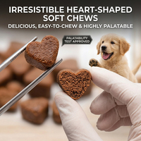 Compléments et vitamines pour chiens Waylemo, comprimés à mâcher pour développer les muscles, protéines de lactosérum, acides aminés, soins de santé pour animaux de compagnie
