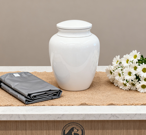 Ataúdes y ataúdes de cristal modernos de primera calidad para mascotas para perros y gatos: comodidad y preservación de la memoria - Product Image 3