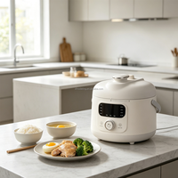 Mini-cuiseur à pression électrique 1,8 L compact multifonction pour la maison