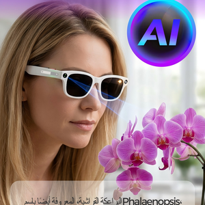 AI智能太阳镜 AIMB-S1 摄像头三合一镜片 防蓝光 Wifi 防抖 ChatGPT 1080P 智能眼镜 - Product Image 1