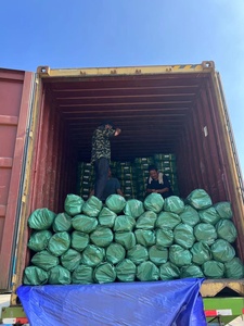 Bâche en PE imperméable, tissu <span class=keywords><strong>vert</strong></span>, pour jardin extérieur, abri pour plantes, bateau, voiture, camion, auvent, bâche imperméable en rouleau - Product Image 3