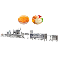 RVS fruitjamverwerkingsinstallatie met vacuümconcentrator en aseptische vuller