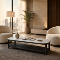 Table basse ovale en marbre avec étagère en bois, plateau en pierre de Carrare, structure en bois massif en forme de pilule, 6 options de couleur, moderne, luxueuse, pliable