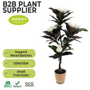 Arbre artificiel de magnolia de 90 cm de haut, fleurs blanches et roses, en <span class=keywords><strong>pot</strong></span>, toucher réel, écologique, <span class=keywords><strong>pour</strong></span> la décoration de la maison, du jardin, des mariages, aménagement paysager, faux - Product Image 2