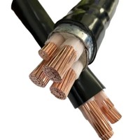Cable de Alimentación Eléctrico Aislado en PVC Cabo Vav 4X95mm2 0.6/1kv 4X120mm2 4X4mm2 Vav Lvav 1X150mm2 1X240mm2