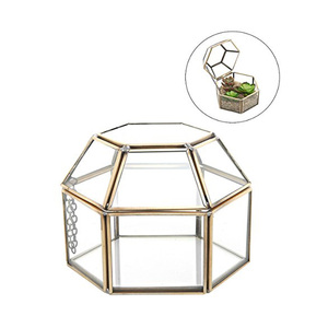 Terrario de latón y vidrio moderno, caja para decoración de plantas - Product Image 1