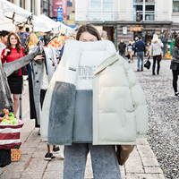Veste imperméable écologique à capuche double face en velours côtelé longue version coréenne pour homme, haute qualité, collection automne 2025