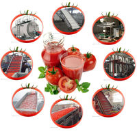 Turnkey tomatensoepmachine, tomatenpuree productielijn, op maat gemaakte tomatenverwerkingsinstallatie van wassen tot afvullen