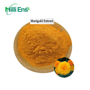 خلاصة القطيفة للعناية الصحية الطبيعية بسعر الجملة في بيع بالجملة - Product Image 3