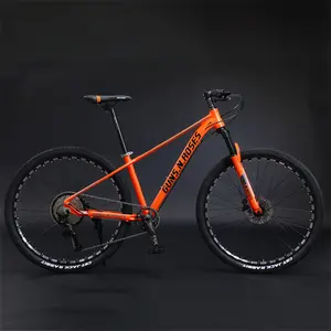 Le vendite dirette della fabbrica 21 velocità possono essere personalizzate mountain bike MTB mt bike