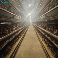 Équipement moderne pour élevages avicoles : Système de cages en batterie pour poules pondeuses pour une production d'œufs efficace