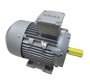 Venta AB Siemens WEG 1hp 2hp 3Hp 15HP 25hp 30hp 40hp 75hp 100hp <span class=keywords><strong>200hp</strong></span> 3 Motores de CA eléctricos asíncronos de inducción trifásicos - Product Image 2