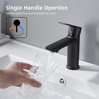 Robinet de lavabo monocommande noir mat contemporain, à poser sur le comptoir, pour salle de bain