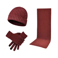 Ensemble de chapeau, écharpe et gants de mode en gros, faits à la main, couleurs variées, chauds, coupe-vent, promotionnels, hiver, unisexe, logo personnalisé