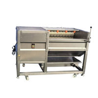 Ligne de production de frites à petite échelle à prix d'usine, machine de traitement de chips de pommes de terre, moteur inclus