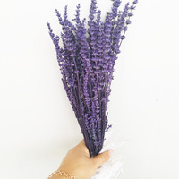Buket berat grosir bunga kering Lavender DIY bahan bunga kering Lavender yang diawetkan untuk dekorasi dalam ruangan pernikahan