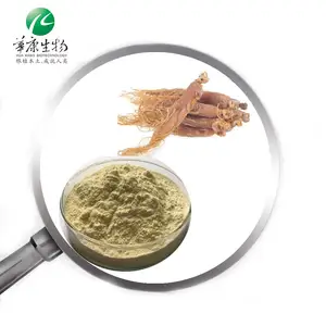 Korean Red Ginseng Root Extract Ginsenosides 30% -80% Powder 6 years old plant