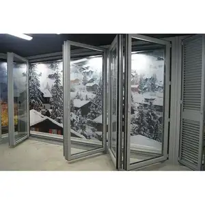 Double porte pliante en aluminium, 5mm + 24amm + 5mm, accessoires allemands, isolation froide, prix d'usine, livraison gratuite