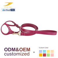 Maßgefertigtes Hundegeschirr-Set aus PU-Leder mit Logo, Einfaches Anzieh-Design, Goldene Beschläge, Wasserdichtes Haustier-Walking-Kit