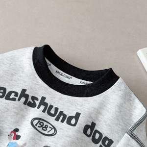 Ensemble de vêtements pour enfants : sweat-shirt à manches longues et pantalon à col rond, motif chiot mignon, deux pièces, pour bébés garçons et filles - Vente en gros - Product Image 6