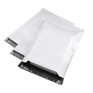 Campioni gratuiti Poly Mailer biodegradabile corriere personalizzato polietilene LDPE HDPE Mail Bag