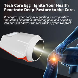 โซลูชันการบำบัดด้วยความร้อนเทราเฮิร์ตซ์สำหรับคลินิกและศูนย์ฟื้นฟู: อุปกรณ์กายภาพบำบัดระดับมืออาชีพสำหรับการรักษาอาการปวดและโรคข้ออักเสบ - Product Image 2